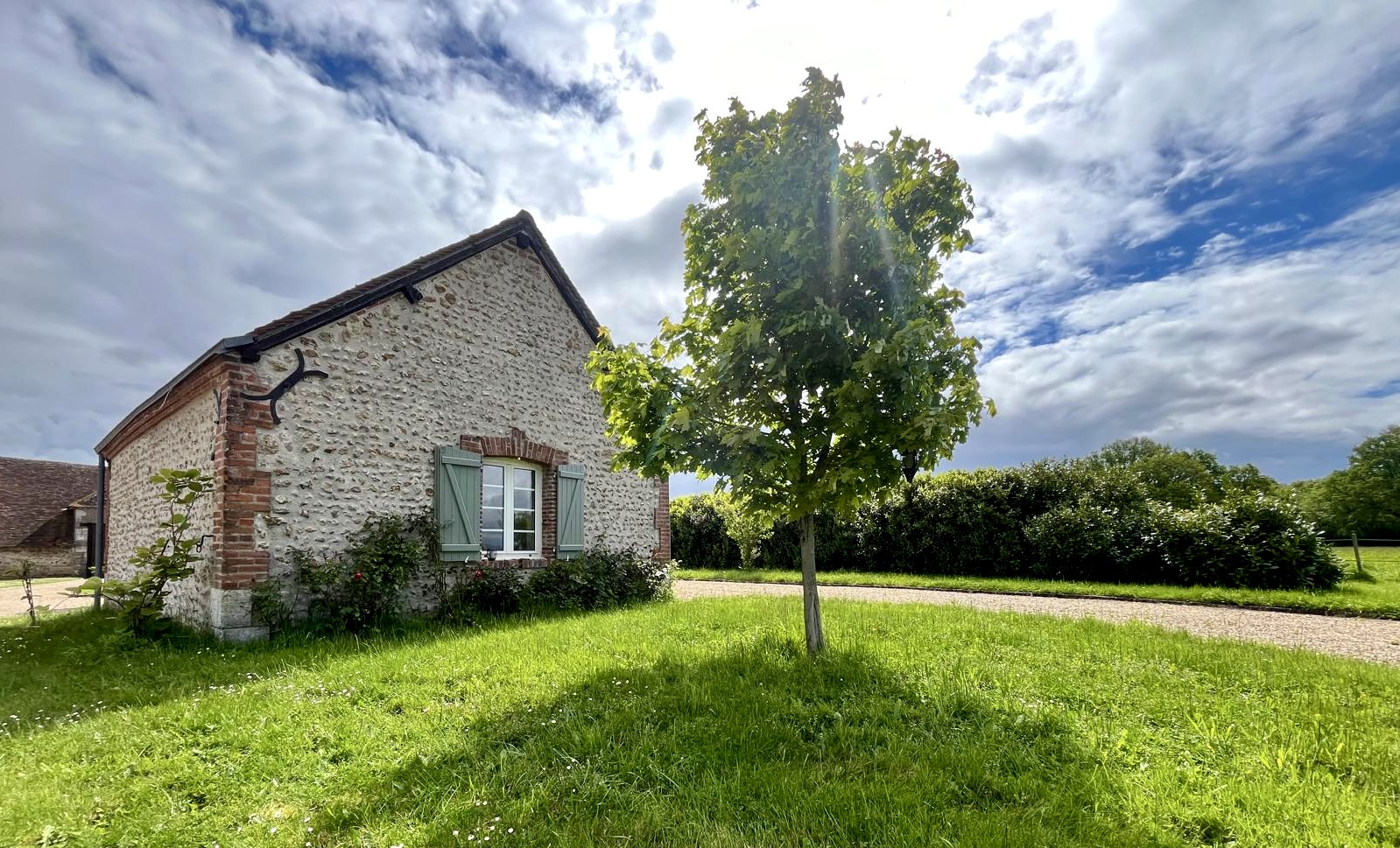 19d6923d-b308-4987-b4b1-6b30dc3e45b6